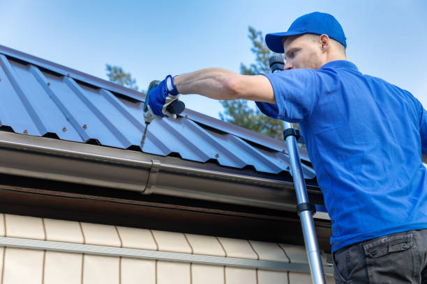 Best Metal Roofing Installation  in , NV