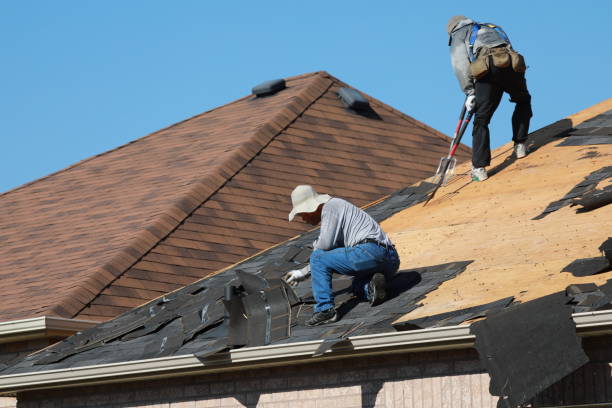 Best Roof Repair  in , NV